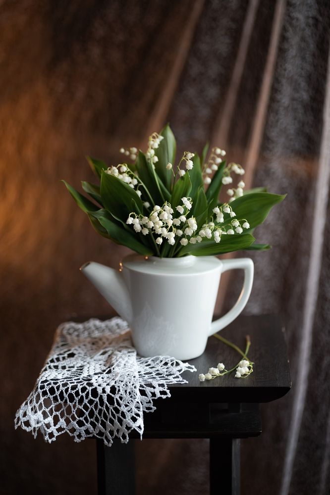 Photograph by Елена Лидмец