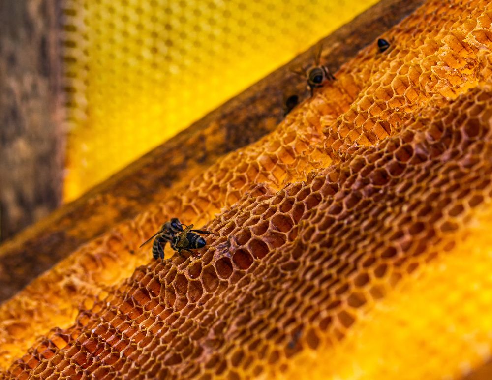 Photograph by Заур Бозиев