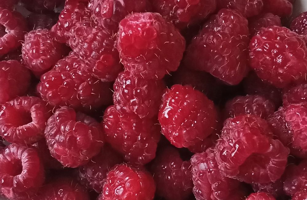 Photograph by Анна Лагун