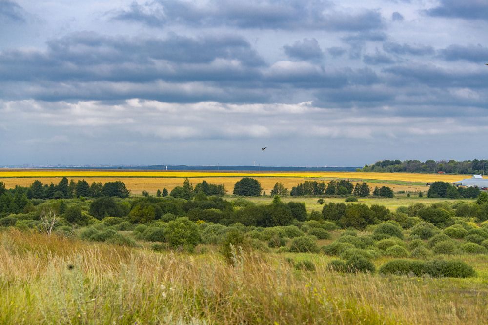 Photograph by Алексей Сиваков