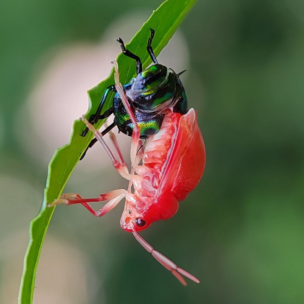Photograph by Subhadeep Tunga