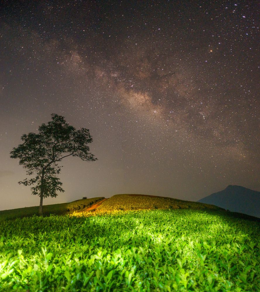 Фотография автора Trần Minh Thìn