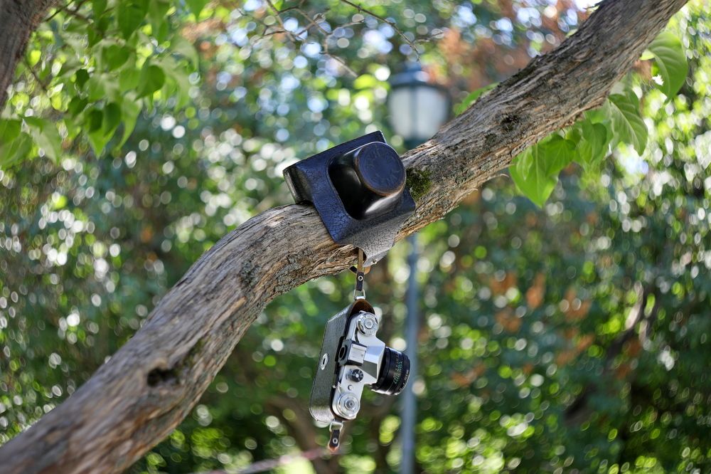 Photograph by Игорь Кад