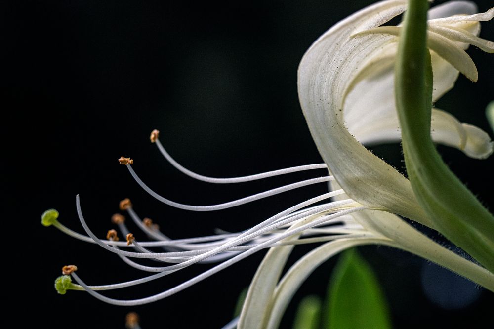 Photograph by Алексей Тимофеев