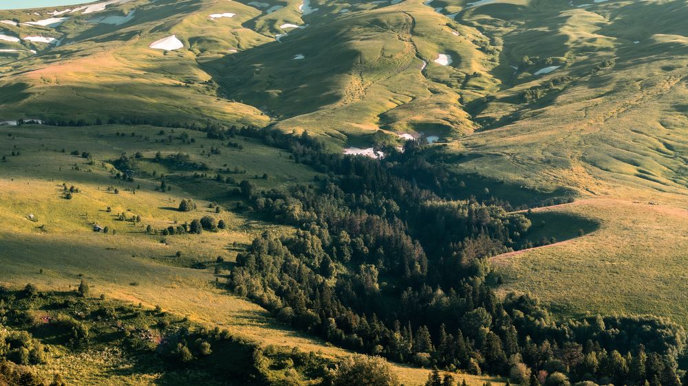 Макушка лета