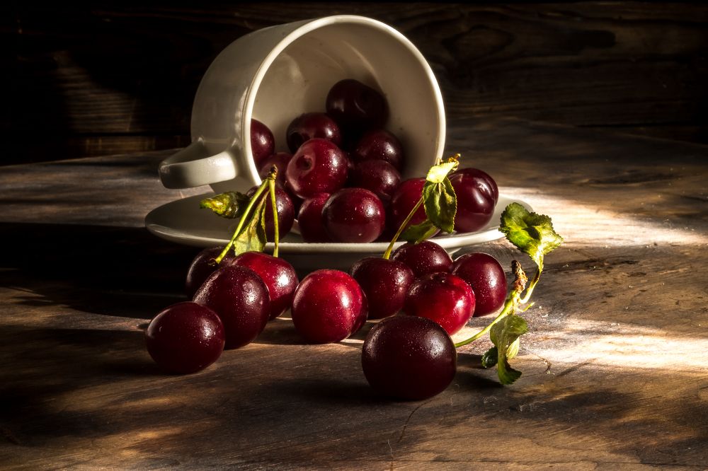 Фотография автора Наталья Соболь