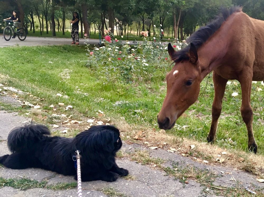 Photograph by Елена Ким