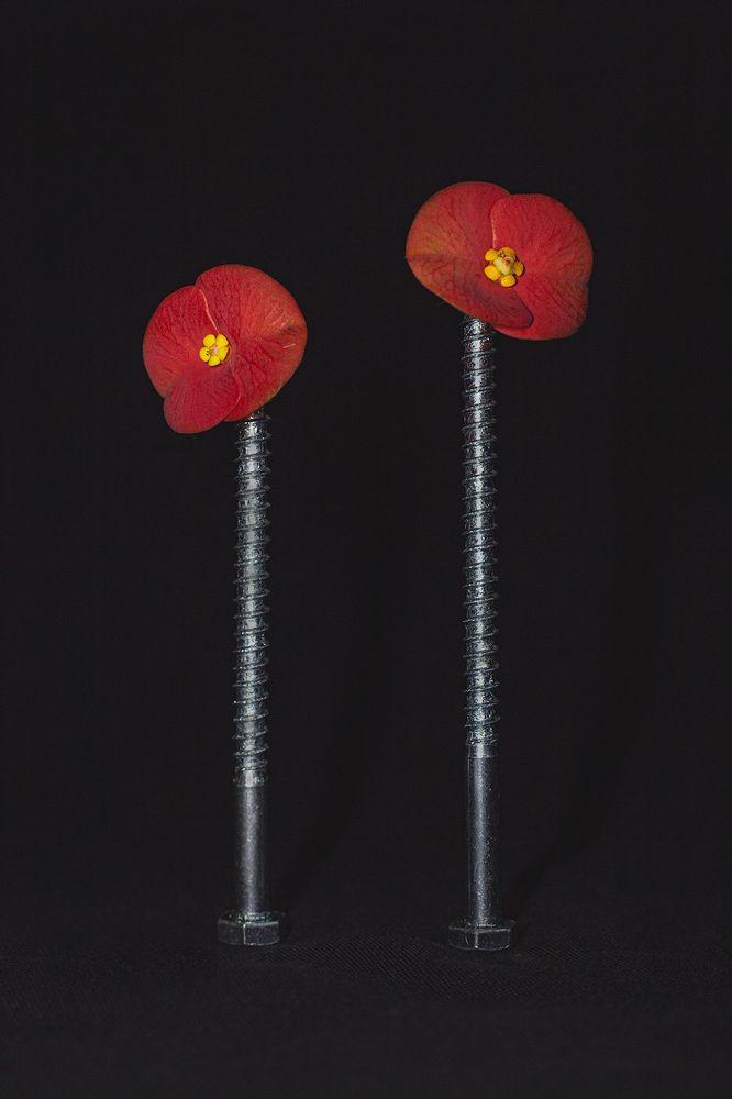 Фотография автора Pramuditha De Silva Laddu Sasindu