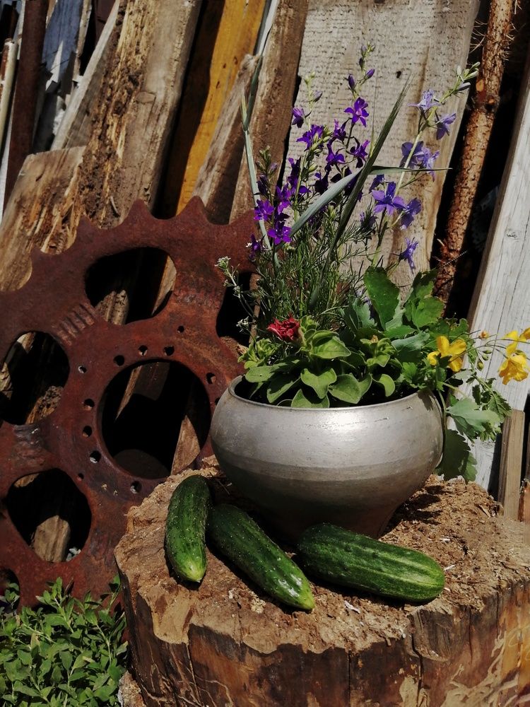 Photograph by Ольга Мокрова