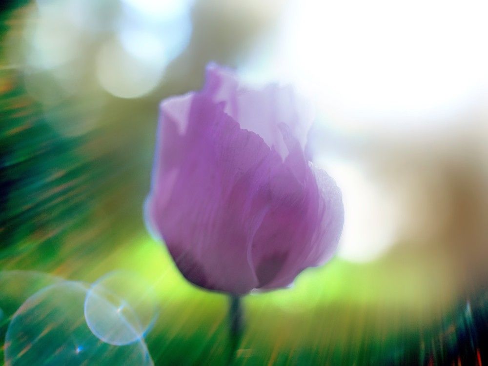 Photograph by Иван Труфанов