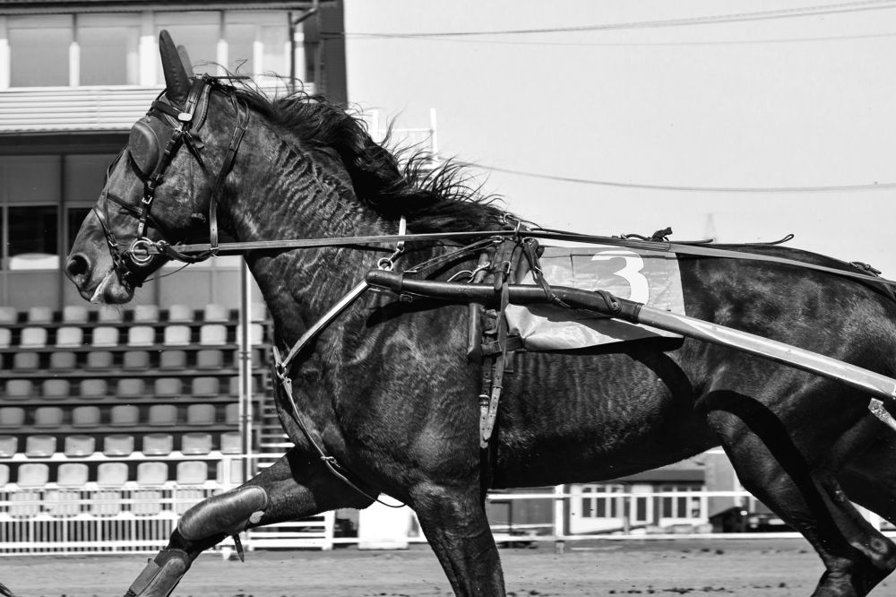 Photograph by Yulia Orina