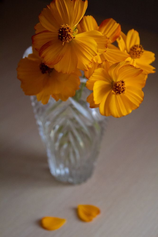 Photograph by Анна Толмачева