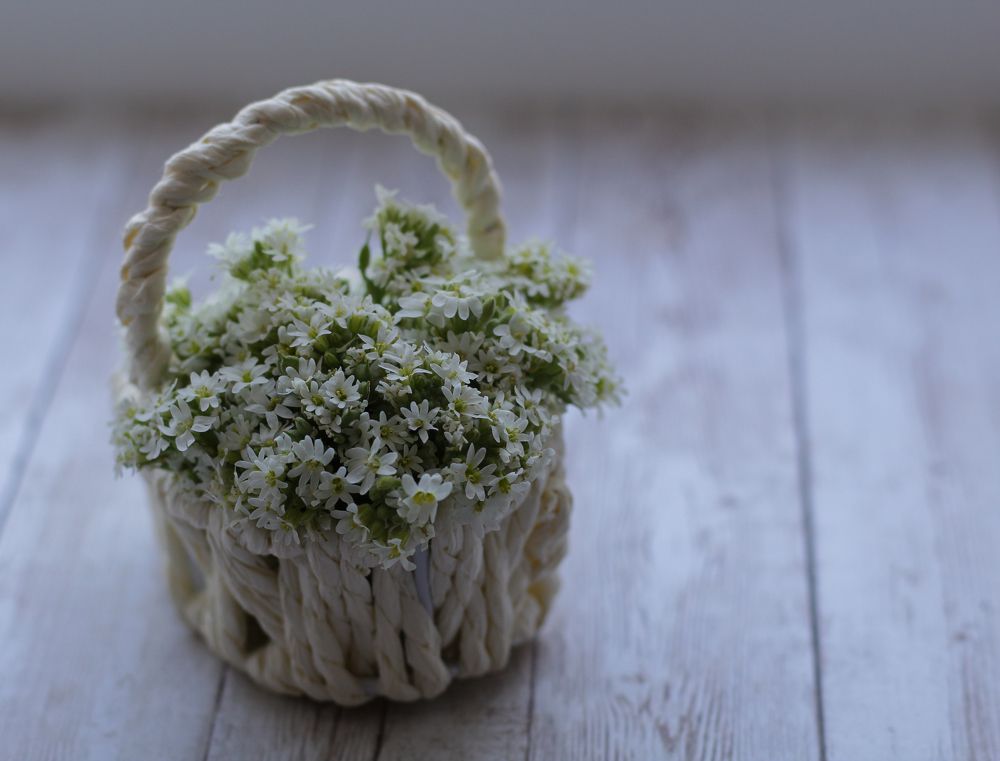 Photograph by Анна Толмачева