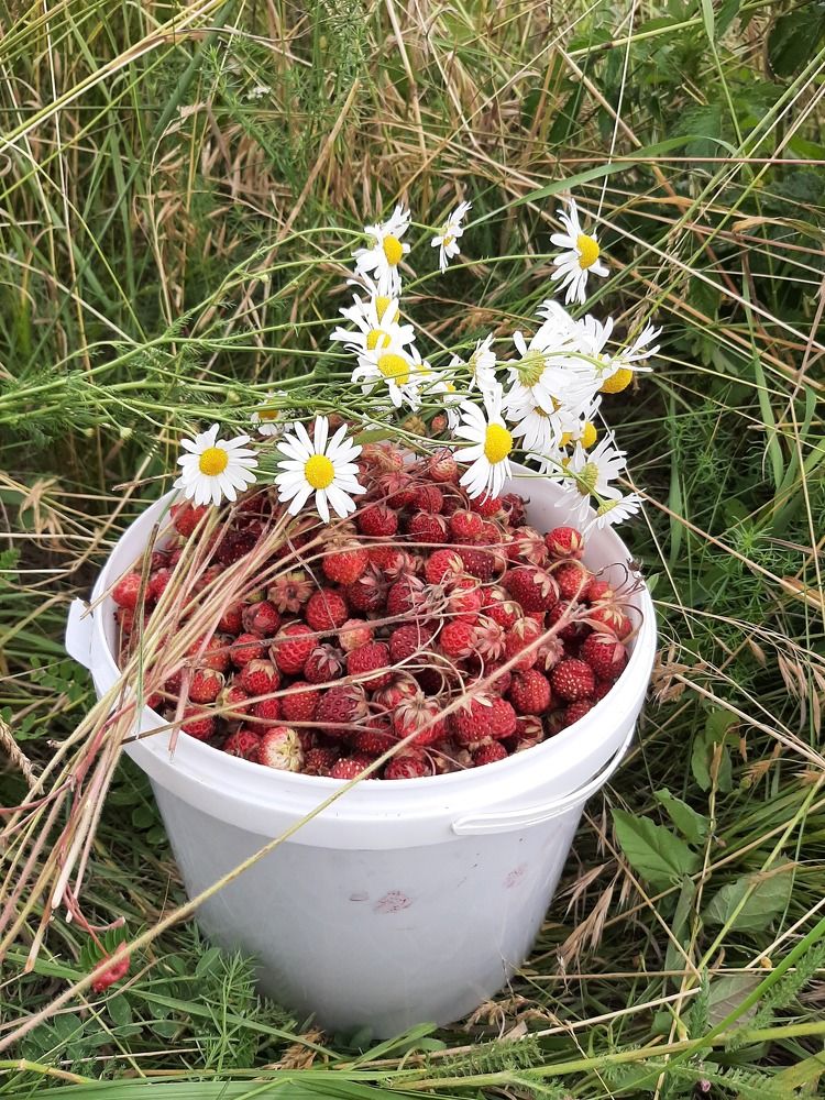 Photograph by Elena Goreva