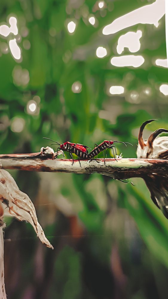 Photograph by Aliva Lenka