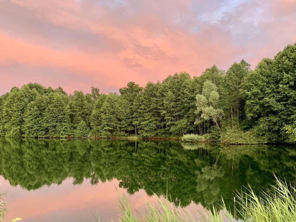 Photograph by Elena Lukashina