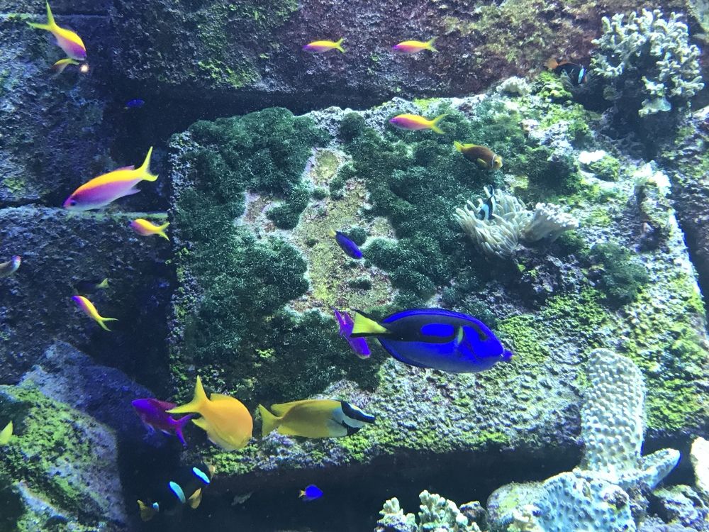 Photograph by Anca Hultoana