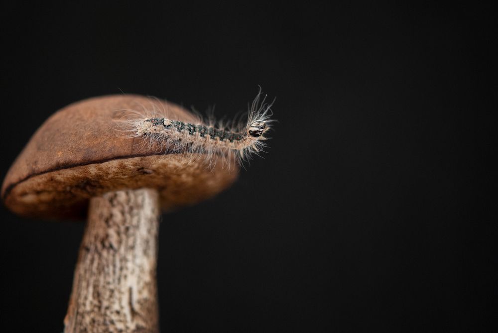 Photograph by Елизавета Варкентин