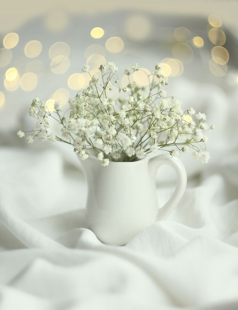 Photograph by Алена Полетаева