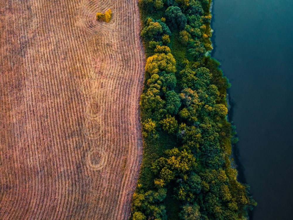 Фотография автора Сморчков Сергей