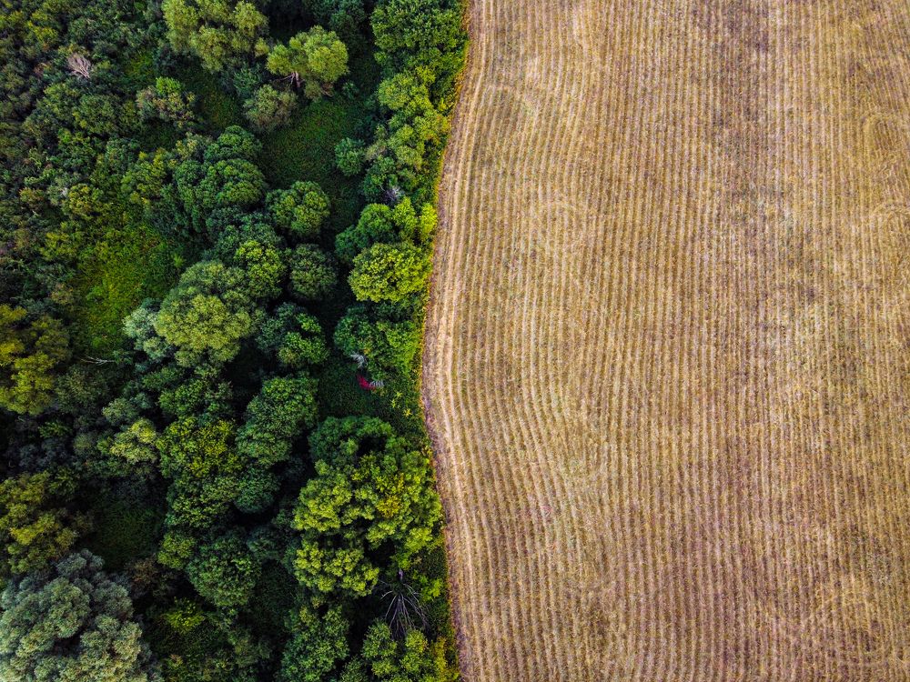 Фотография автора Сморчков Сергей