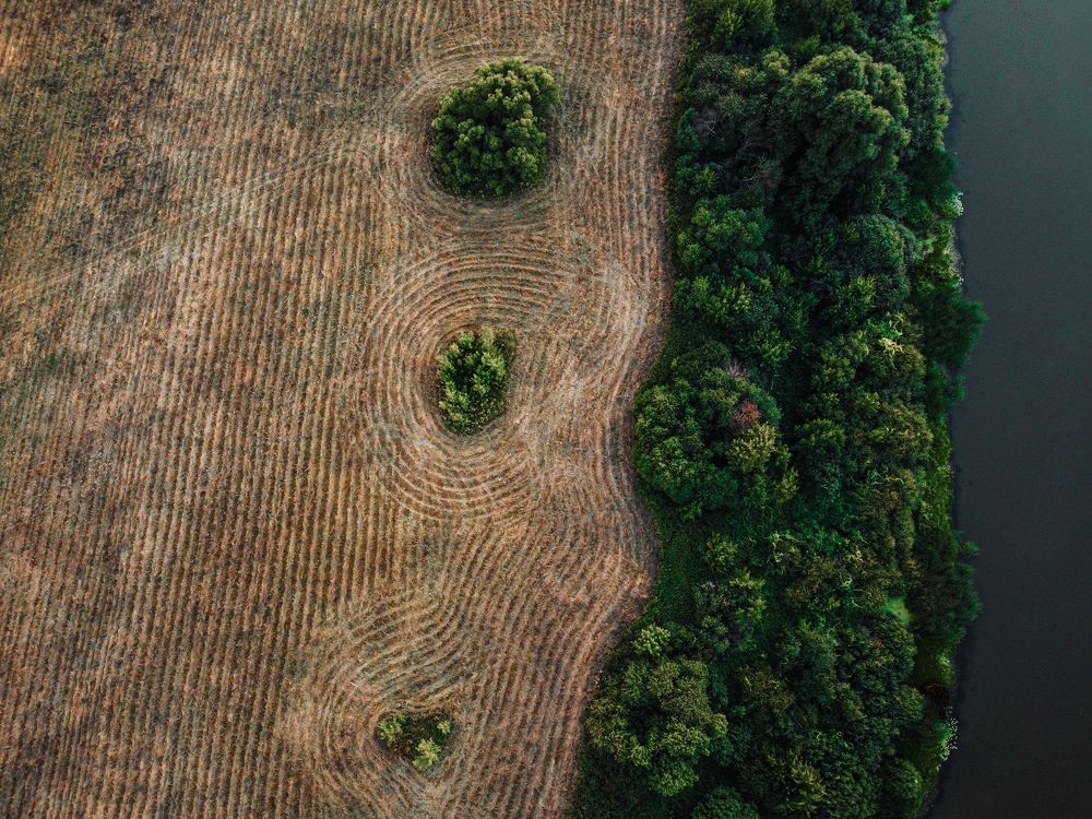 Фотография автора Сморчков Сергей