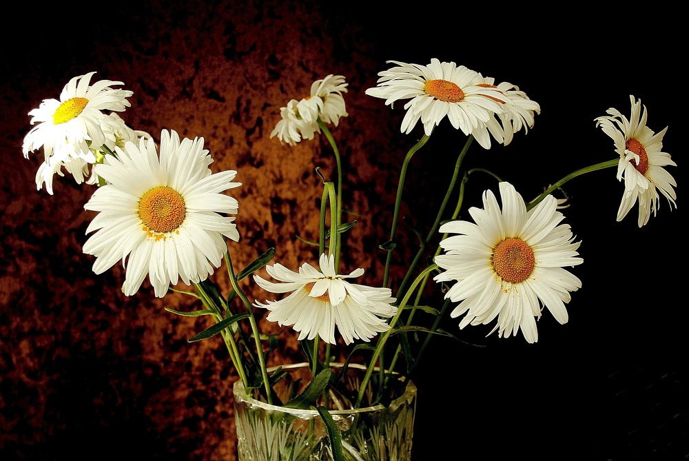 Photograph by Виталий Симоненков