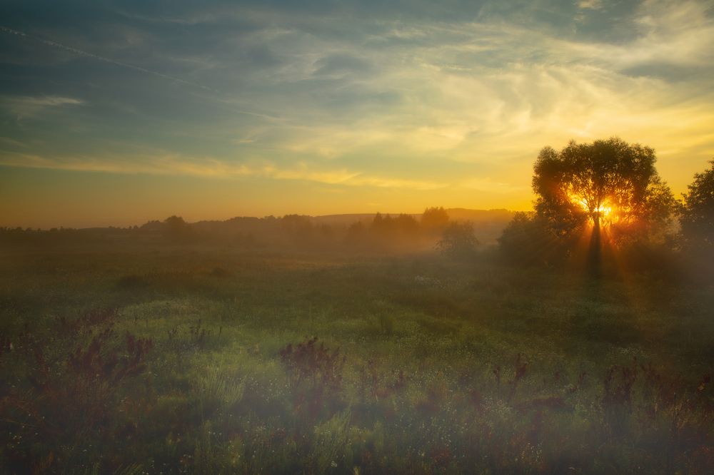 Photograph by Сергей Абашкин