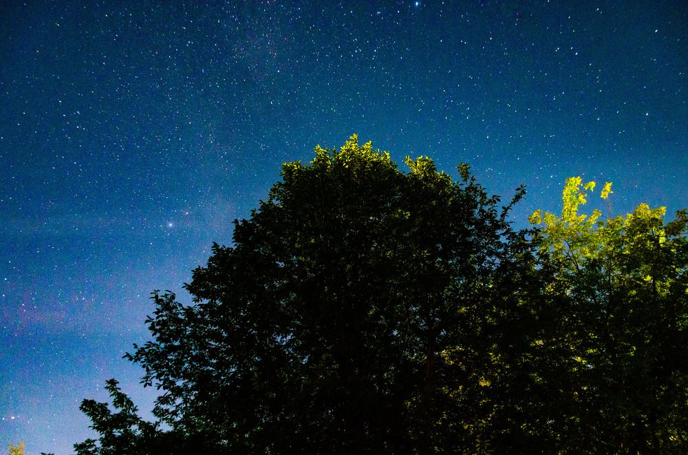 Photograph by Артём Шестаков