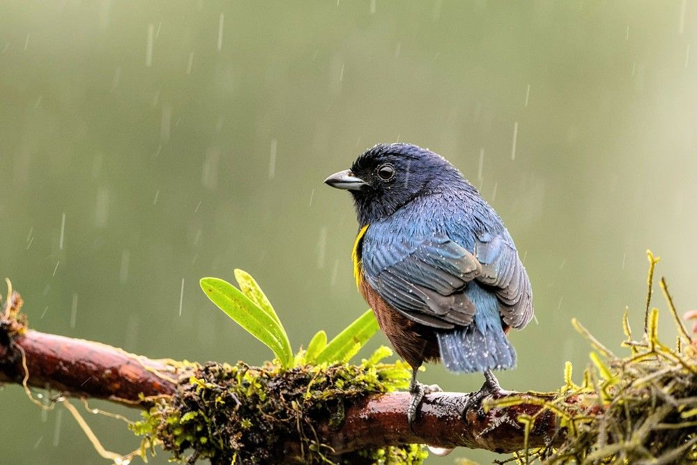 Photograph by Eduardo Bom