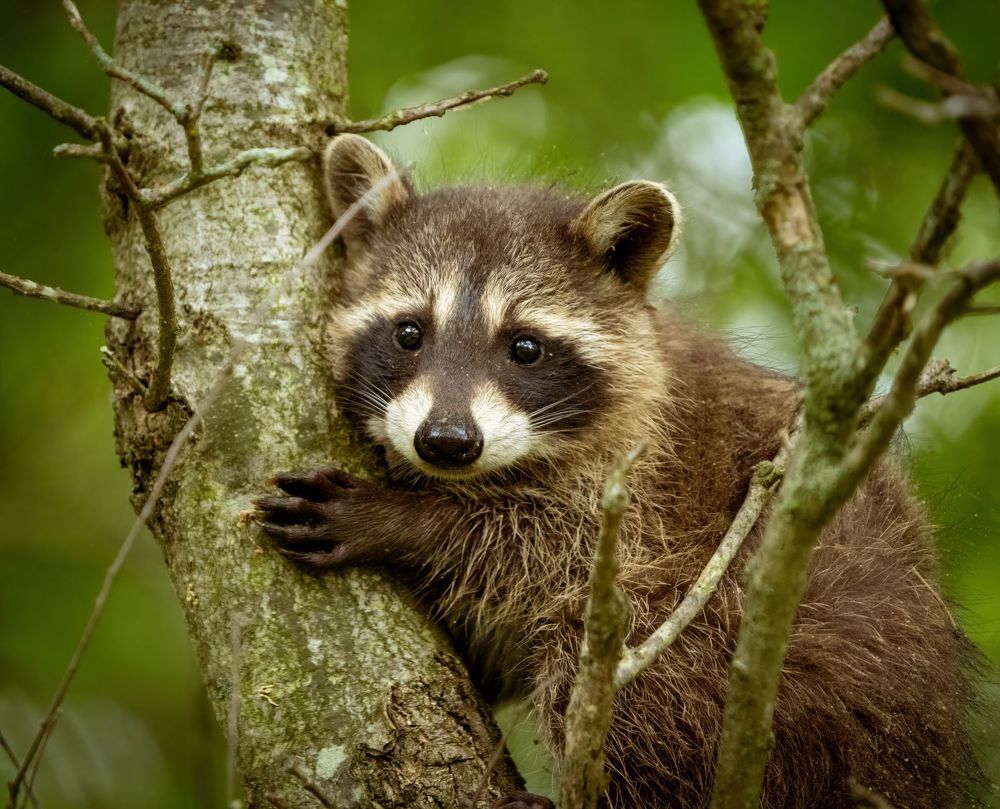 Photograph by Gabi Sciuchetti