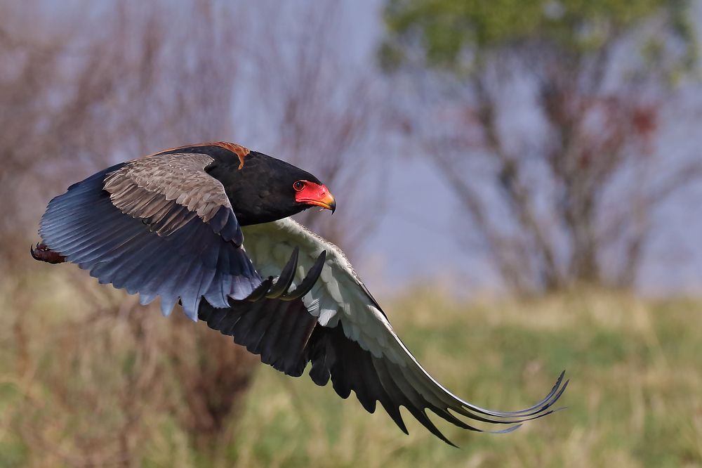 Photograph by Sreejith Sreedharan