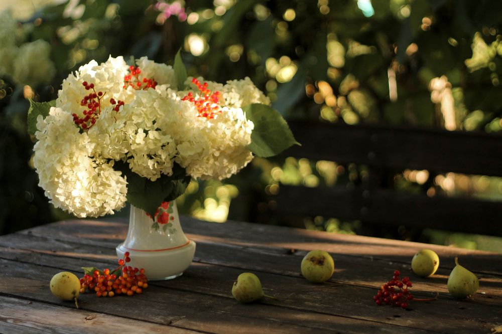 Photograph by Наталья Муравейко