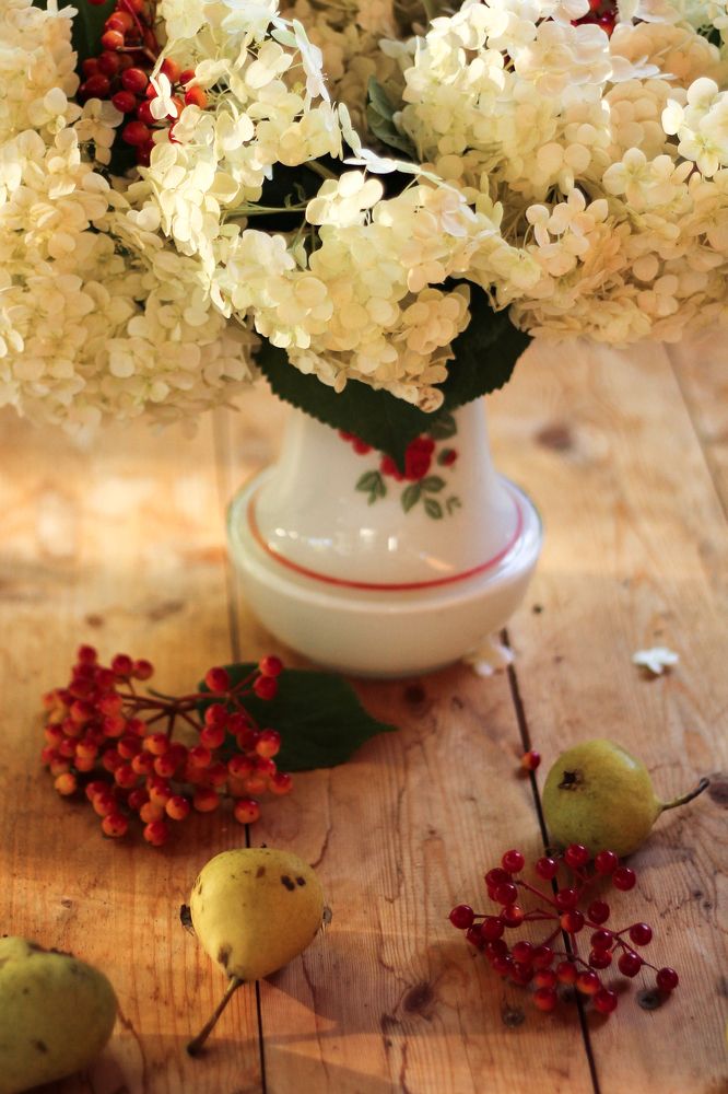 Photograph by Наталья Муравейко