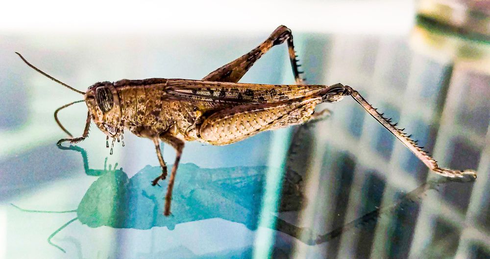 Photograph by ASHRAF FATHY BAKRY