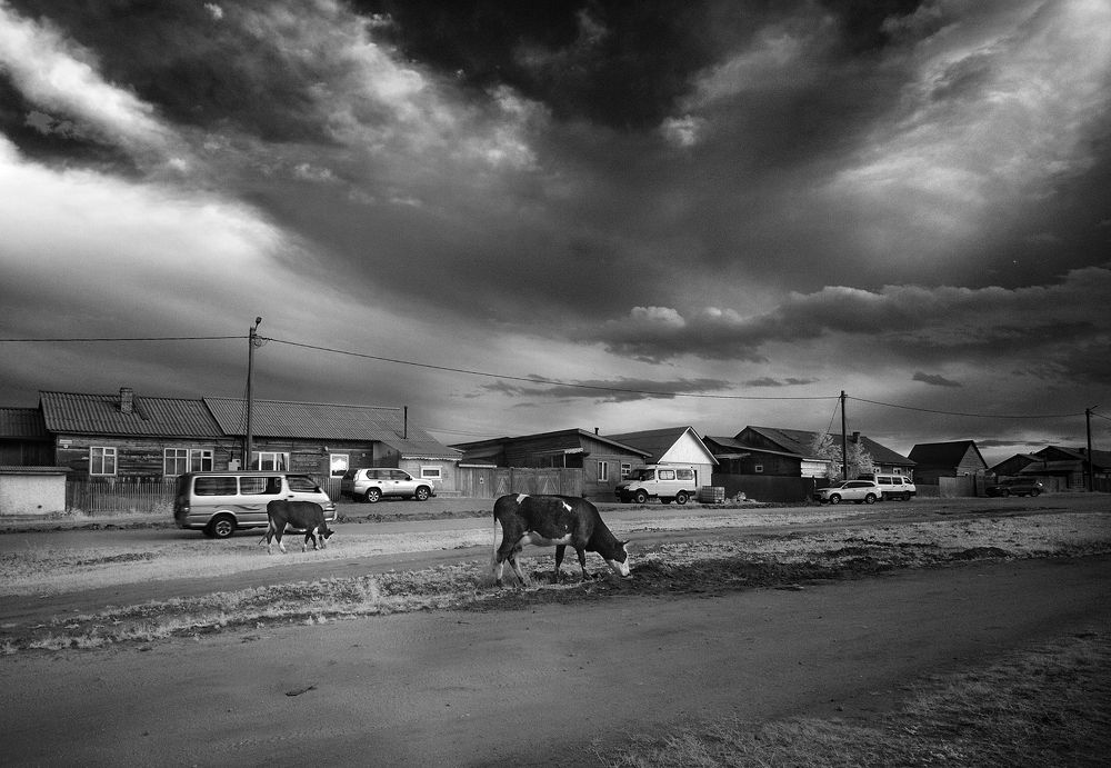 Photograph by Елена Харитонова