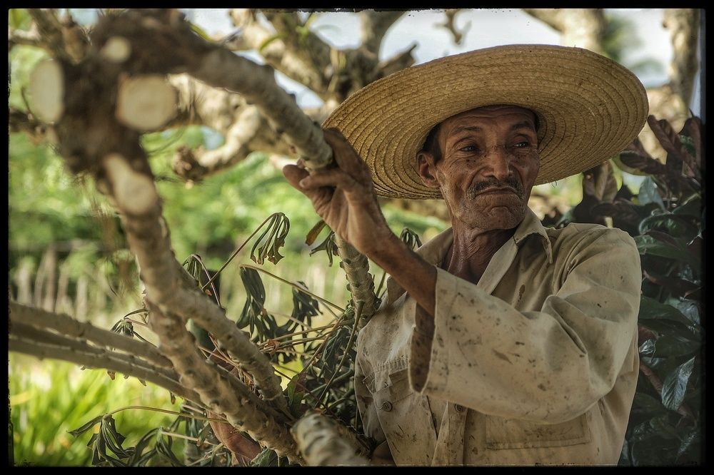 Photograph by Laura Hevia Genaro