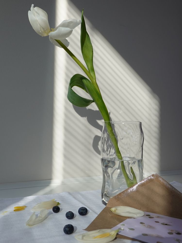 Photograph by Евгения Казакова