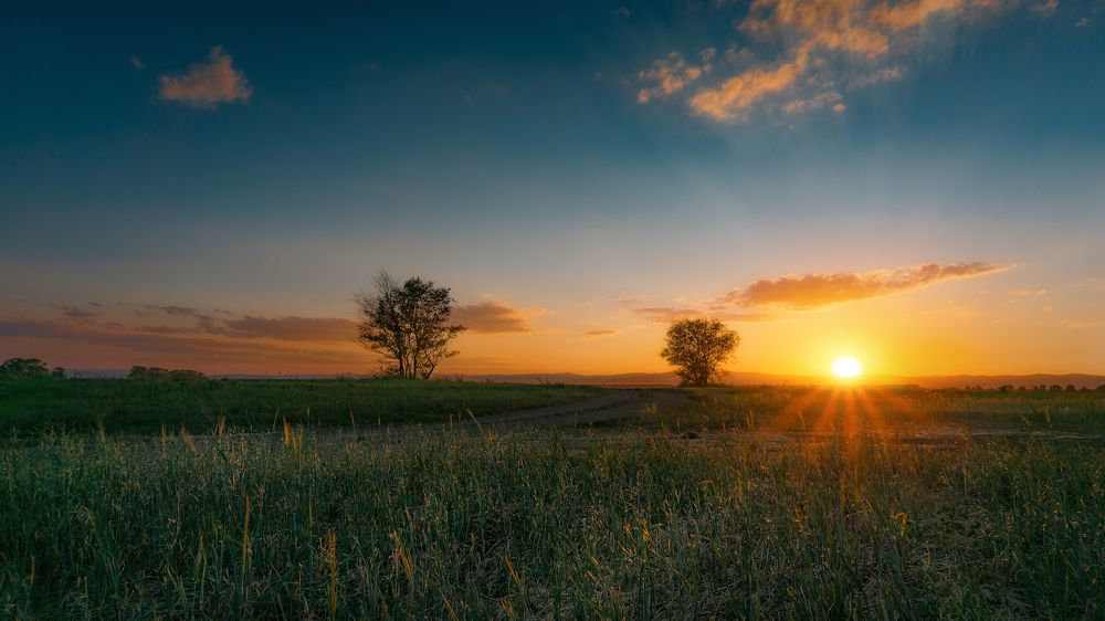 Photograph by Ivan Sazykin