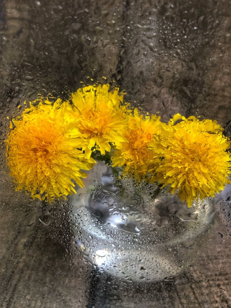 Photograph by Светлана Дмитриева