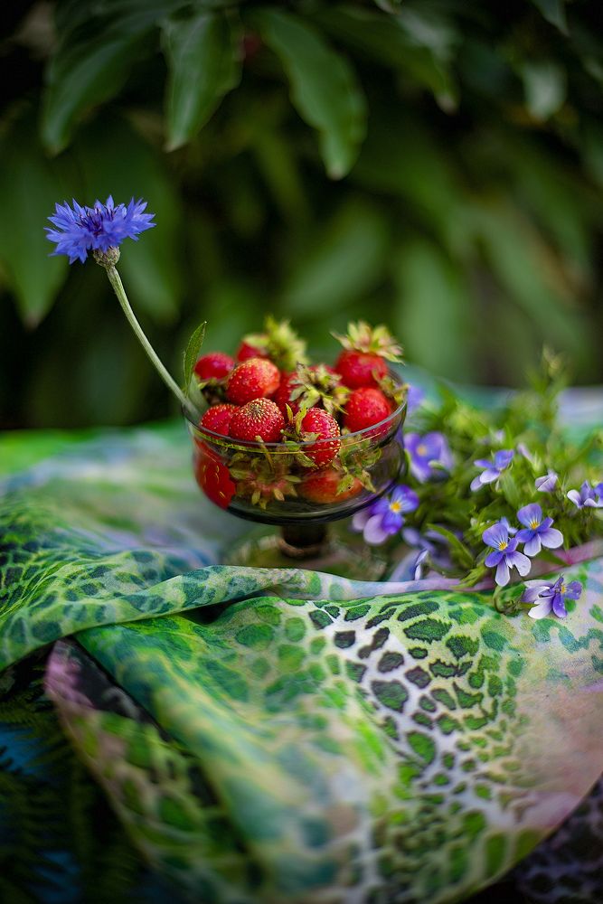 Photograph by Юлия Силина