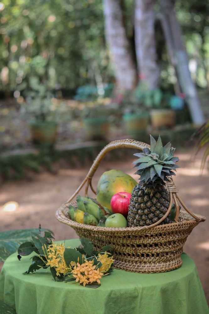 Photograph by DINETH NAMBUKARAWASAM MAHASARANGU HEWAG