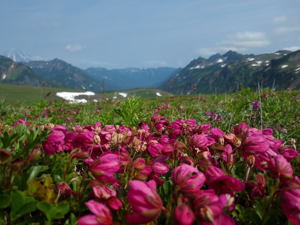 Photograph by Анна Паулюконети