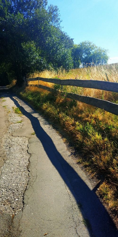 Photograph by Сергей Зиньковский