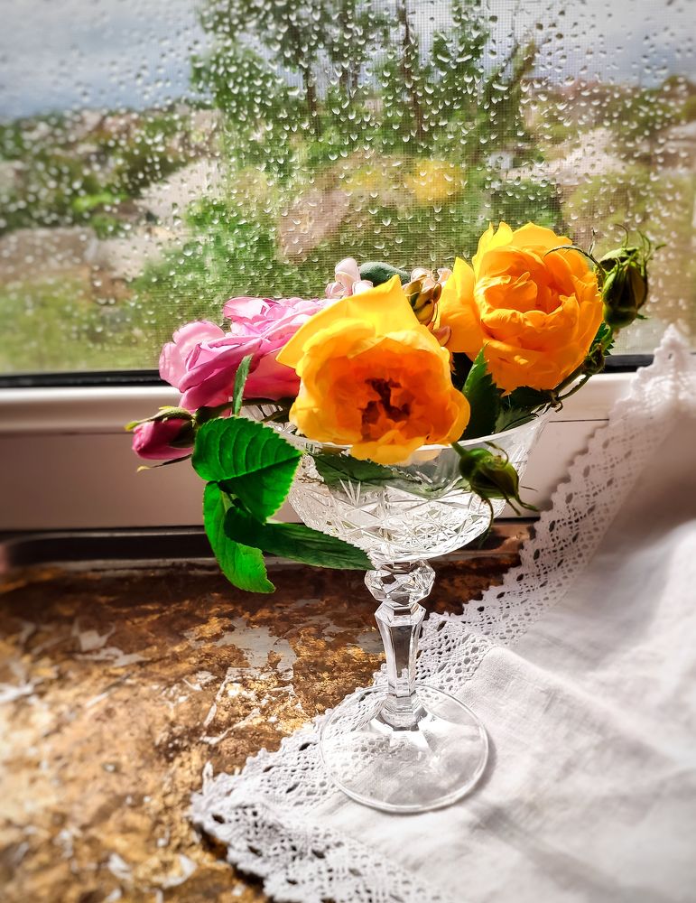 Photograph by Светлана Смирнова