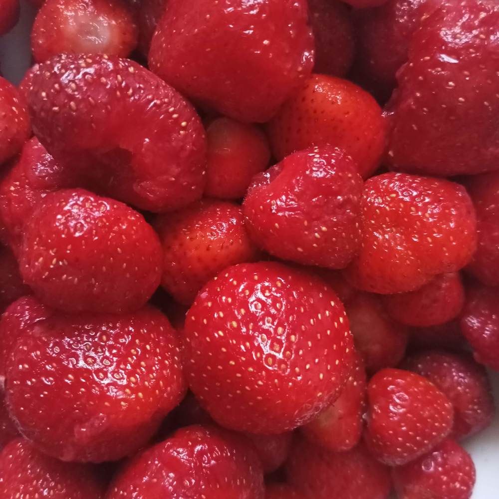 Photograph by Адамян Анна