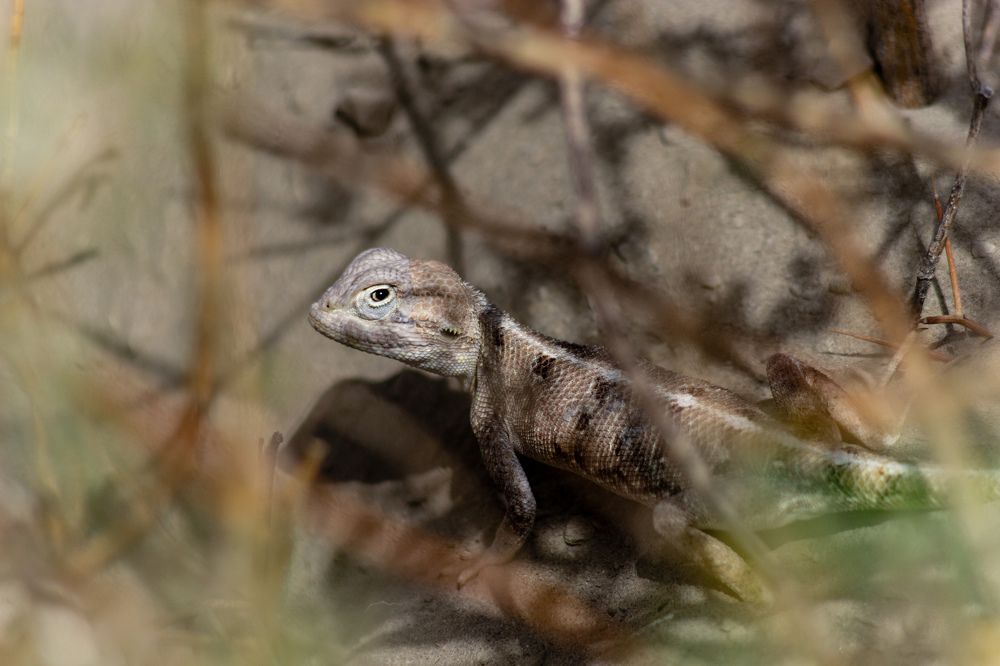 Photograph by Murad Hasil