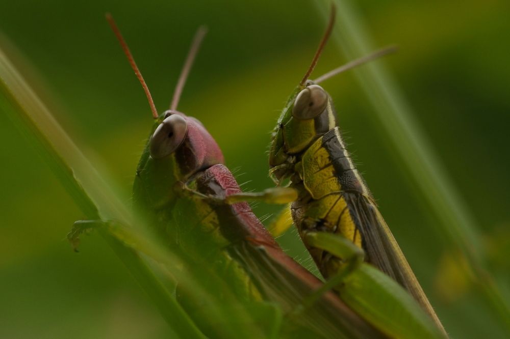 Фотография автора R. Zai