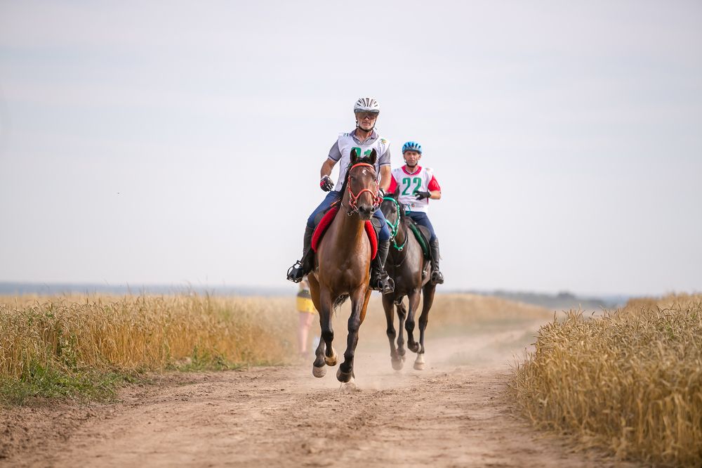 Фотография автора Yulia  Maximova