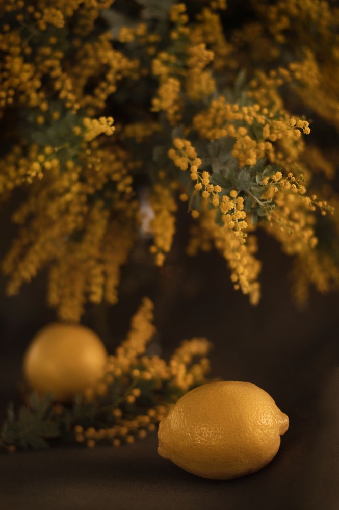 Photograph by Наталья Кузнец